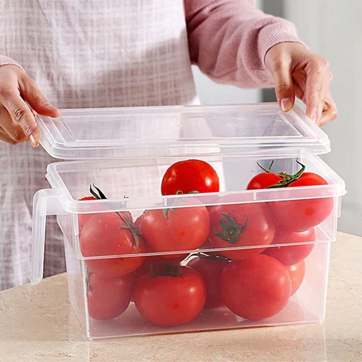 Unbreakable Kitchen Storage Boxes for Smart Organizing (Pack of 6)